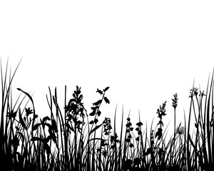 Vector illustration grass background for design use