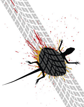 Editable vector illustration of a roadkilled lizard