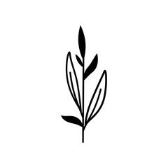 Black silhouette of a icon botanical plant. Clipart.