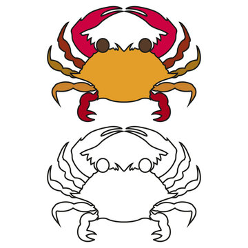 Children's coloring book cartoon sea crab of the crustacean family on a white background.