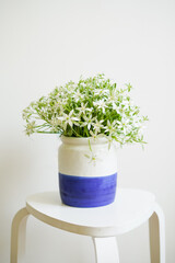 A bouquet of white garden flowers in a vase on a light background