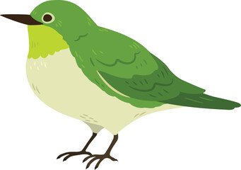 Simple and adorable flat colored Warbling white-eye illustration