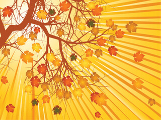 Vector illustration of tree with golden autumn leaves