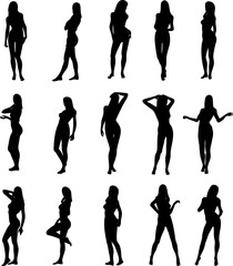 Illustration of sexy woman silhouettes