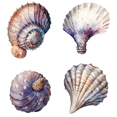 Shells clipart, isolated vector illustration.