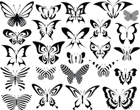 Set of editable vector generic butterfly designs