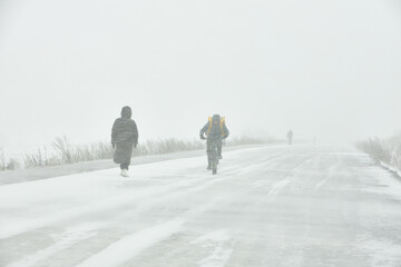 A snowstorm. People walk down the street during a snowstorm. Heavy snowfall.  against the background of a cold urban landscape.