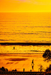 Surf Fishing on sunset beach in California - 607562690