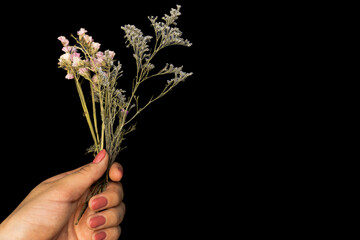 Holding still life with hand