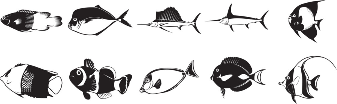 Collection of smooth vector EPS illustrations of various fish