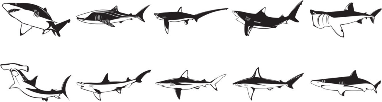 Collection of smooth vector EPS illustrations of various sharks