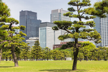 Kokyo Gaien National Garden, the outer gardens of the Imperial Palace in Tokyo, Japan