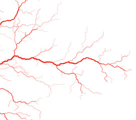 Editable vector illustration of red blood vessels