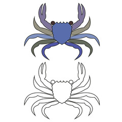 Children's coloring book cartoon sea crab of the crustacean family on a white background.