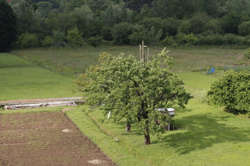 Rural landscape in Biscay, Spain