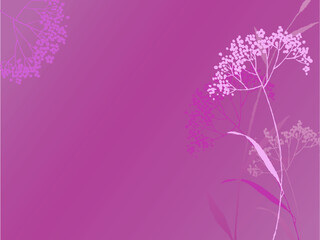 Fototapeta na wymiar Flower background Background