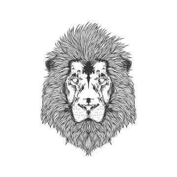 Original monochrome vector illustration. Abstract lion head with a beautiful mane. T-shirt design, design element.