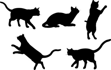 Silhouettes of cats in various poses