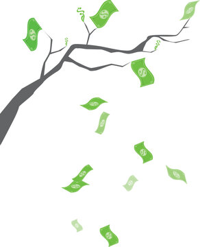 Money growing on a branch - more in porfolio