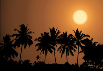 Fototapeta na wymiar Tropical sunset, palm tree silhouette