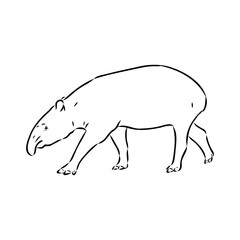 Tapir animal sketch engraving vector illustration. Scratch board style imitation. Hand drawn image.