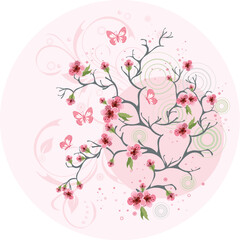 Cherry blossom background