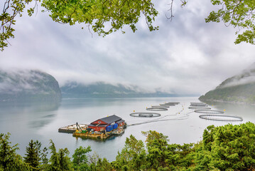 Sandvinvatnet, Ullensvang, Norway :- May 29, 2023 - A Salmon fish farm on the Sandvinvatneta lake...