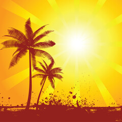Fototapeta na wymiar Summer scene with palm trees