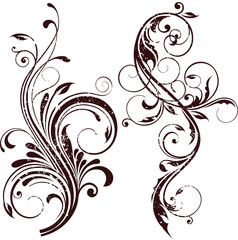 illustration drawing of floral design elements