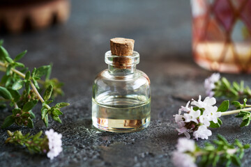 A bottle of thyme essential oil on a dark background