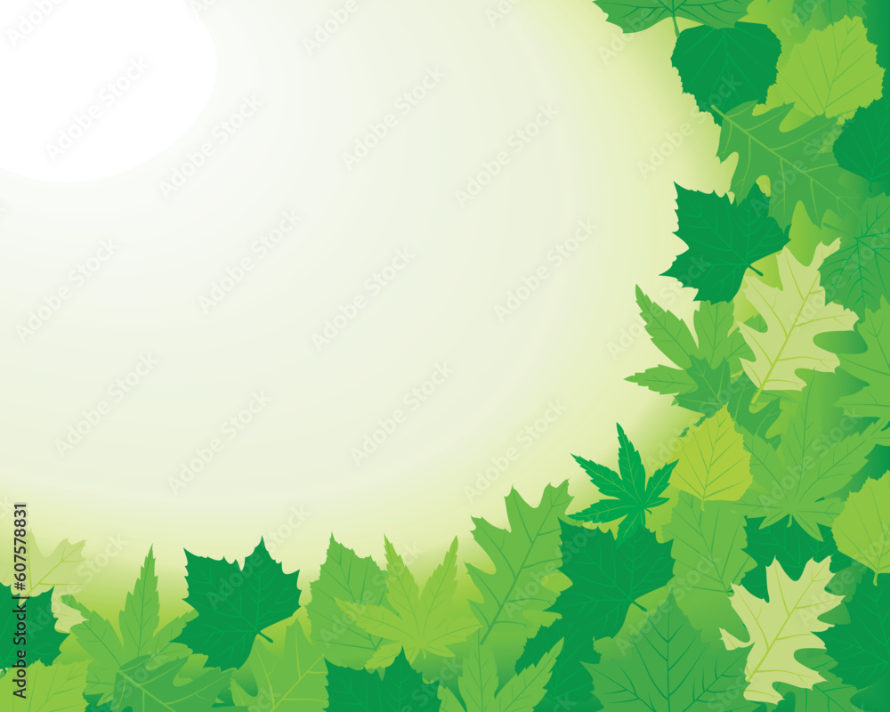 Poster horizontal spring background with beech, maple, oak and chestnut leaves and the bottom and right. co