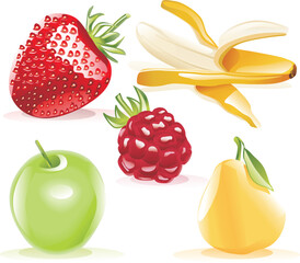 Detailed summer fruits set