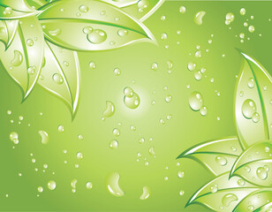 Leaves Background with water drops background