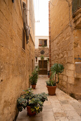 Fototapeta na wymiar Street in the old town Mdina. Malta