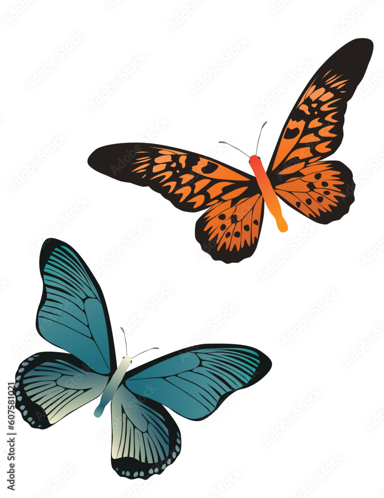 Sticker two butterflies orange and blue color on white