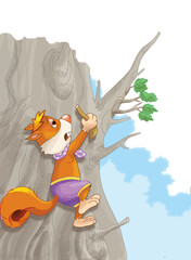 squirrel climbing tree, picking walnuts, tree, squirrel, animals, forest