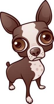Vector cartoon illustration of a cute Boston Terrier or Chihuahua puppy dog.
