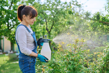 Woman spraying rose bushes in flower bed in backyard