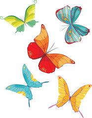 Fototapeta na wymiar vector illustration of a beautiful butterfly