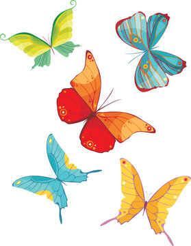 vector illustration of a beautiful butterfly