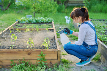 Woman using sprayer to apply funicide to young paprika seedlings in garden