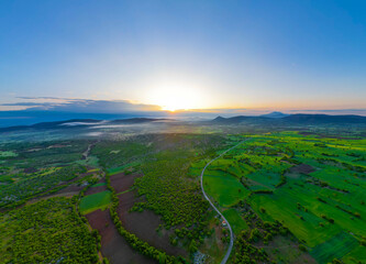 aerial photo at sunrise in the forest