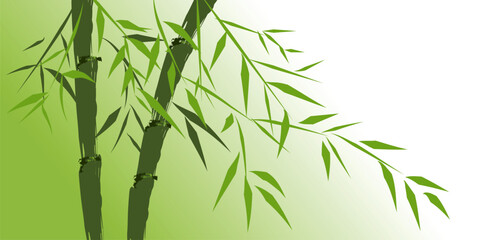 Fototapeta na wymiar design of chinese bamboo trees, vector illustration