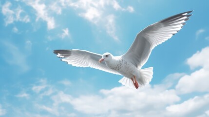 seagull fly against the blue sky with clouds. Sea bird gracefully fly in the air. Generative AI