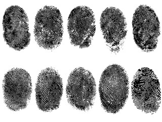 10 Black and White Vector Fingerprints - Very accurately scanned and traced ( Vector is transparent so it can be overlaid on other images, vectors etc.)