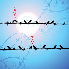 Love, birds kissing on branch