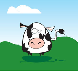 Cow in the meadow looking surprised