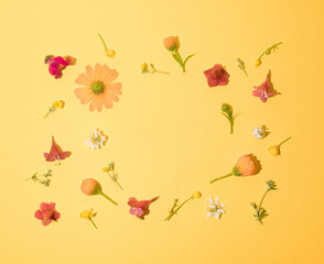 Obraz na płótnie Canvas Creative minimal arrangement of colorful flowers. Summer concept. Flat lay.