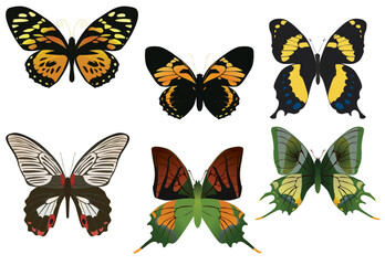Fototapeta na wymiar six multicolored butterflies on a white background