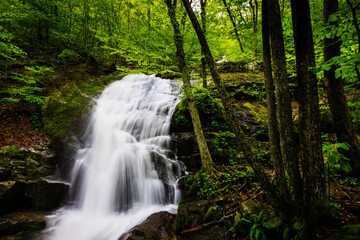 Fototapeta na wymiar Waterfall at Crabtree Falls, Virginia